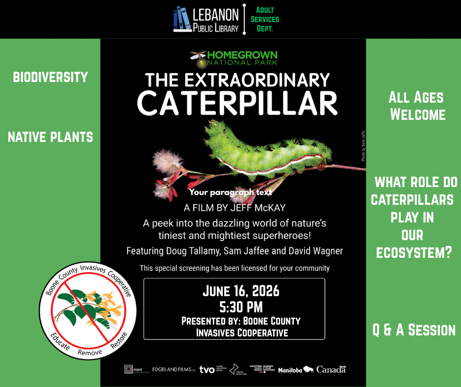 caterpillar